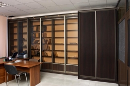 1366347991_shkaf-kupe-v-ofis